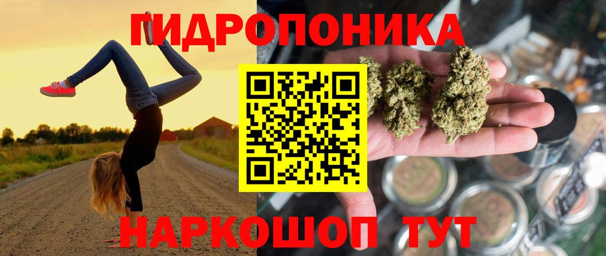 Каннабис семена  Конопля VHQ  Вход с VPN  Каннабис планчик  Кохма 